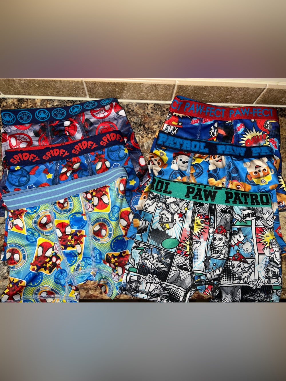 Spider-Man & Paw Patrol Underwear